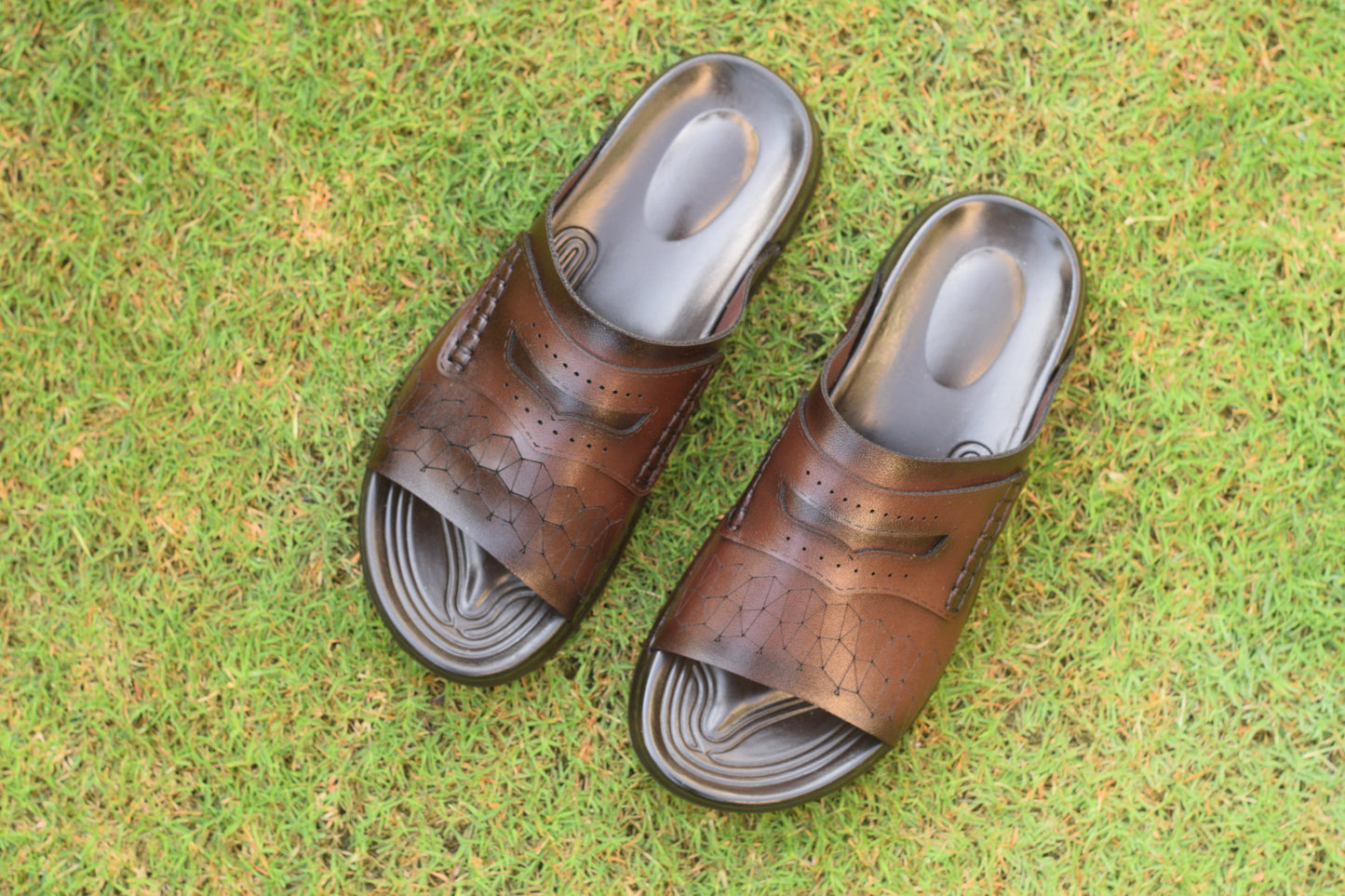 BROWN DHSPU00102