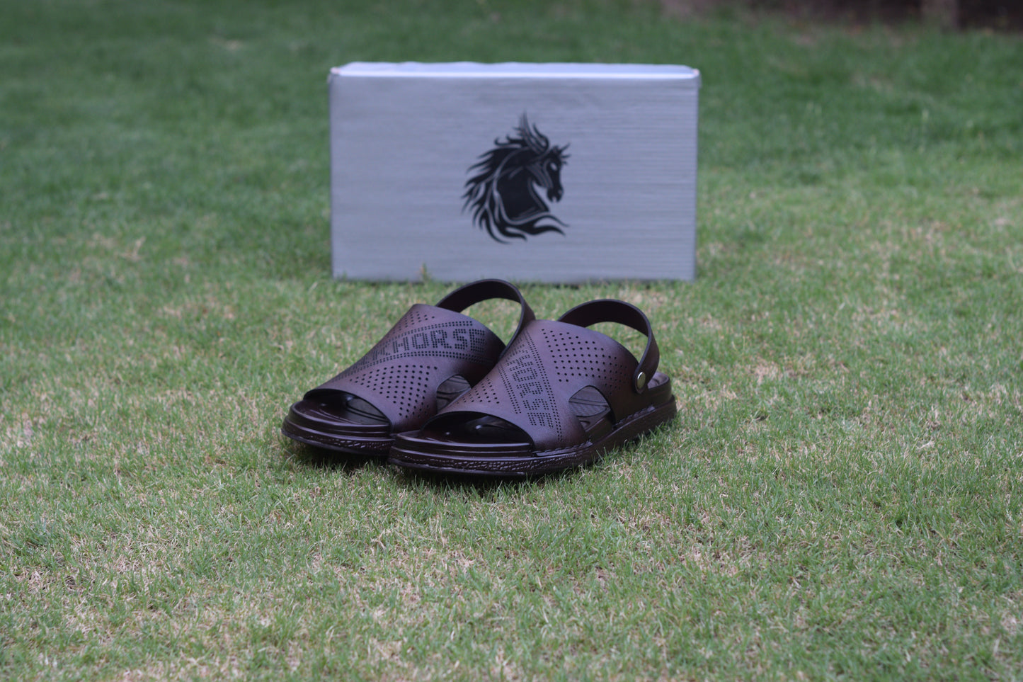 BROWN DHSJS 0031