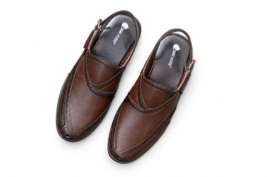 Brown DHSCPA5004