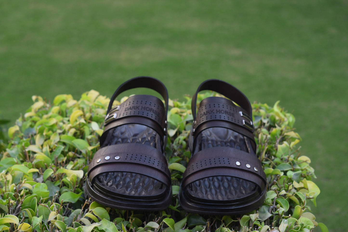 BROWN DHSPUS1003