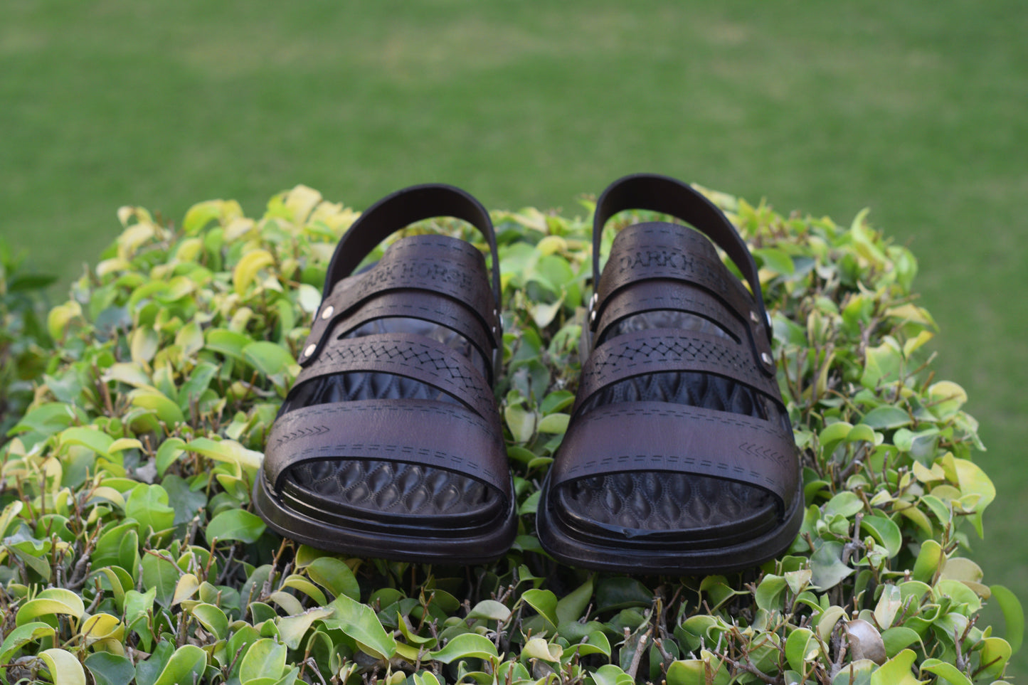 BROWN DHSPUS3503