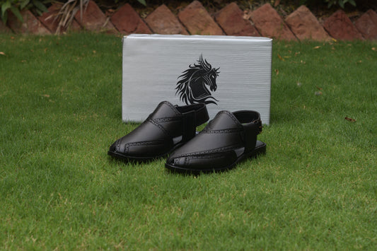 Black DHSCP001