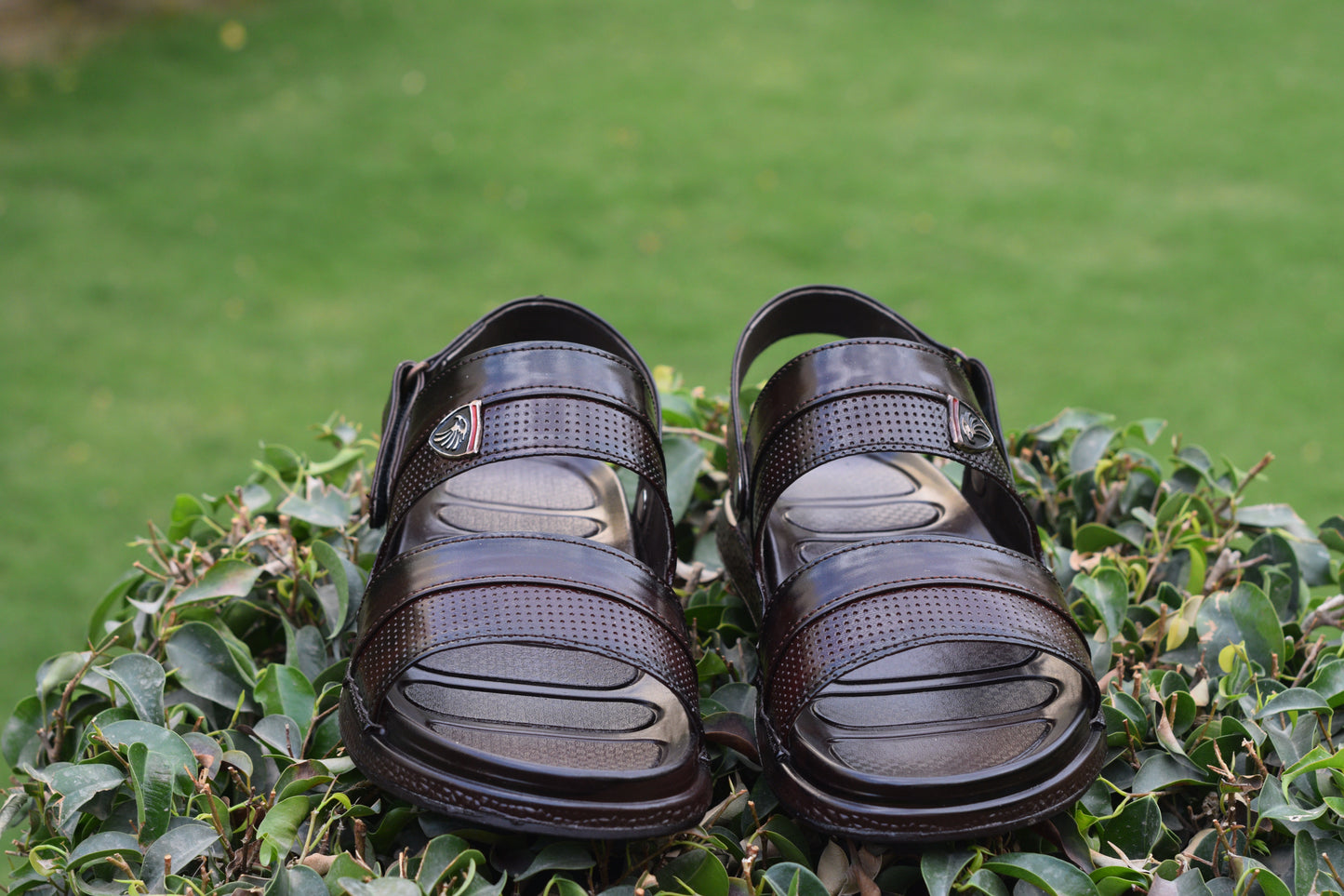 BROWN DHSJS0020