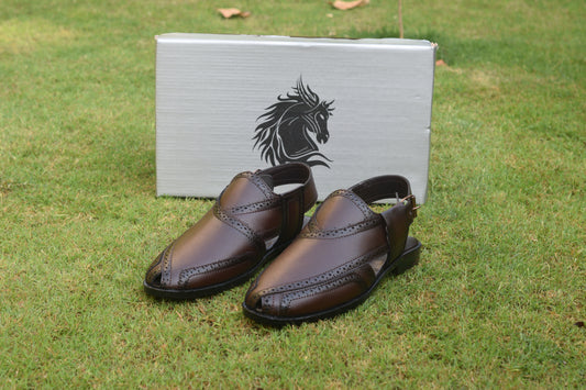 Brown DHSCP001