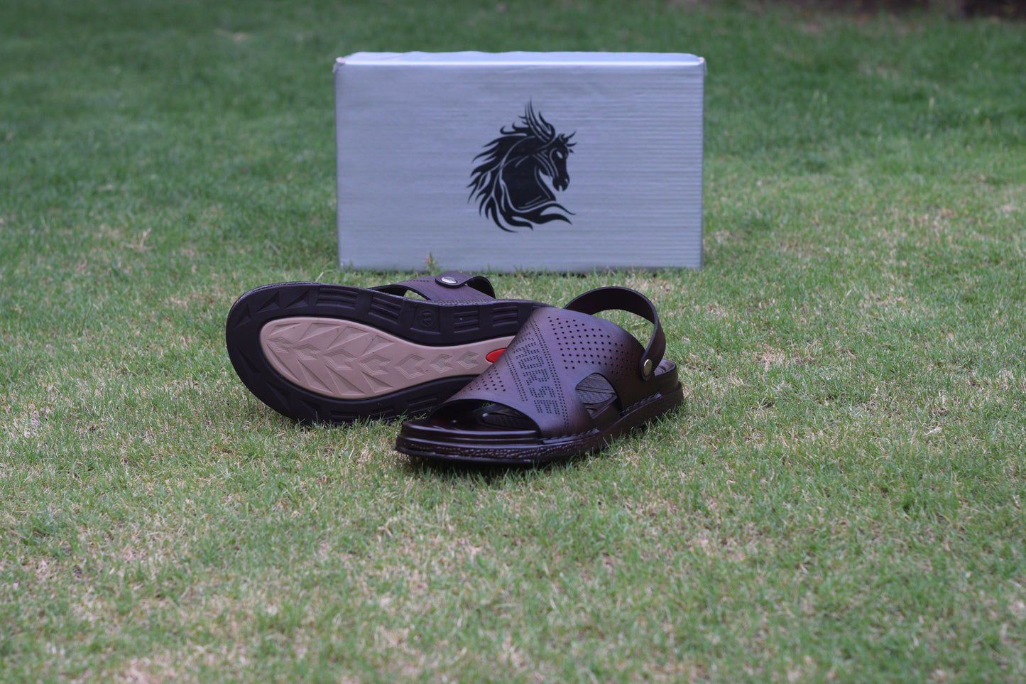 BROWN DHSJS 0031
