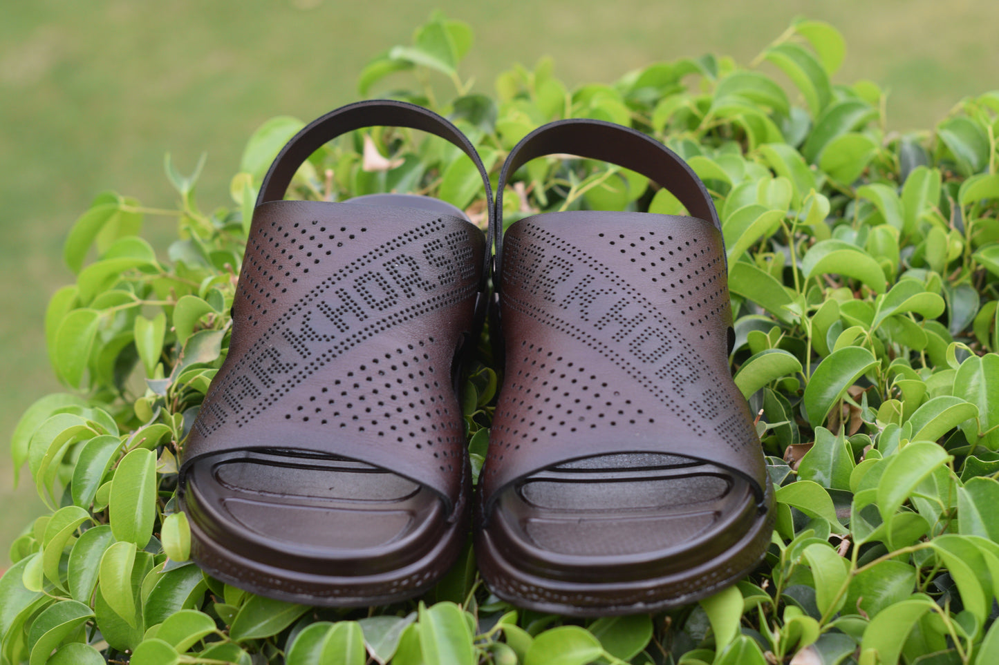 BROWN DHSJS 0031