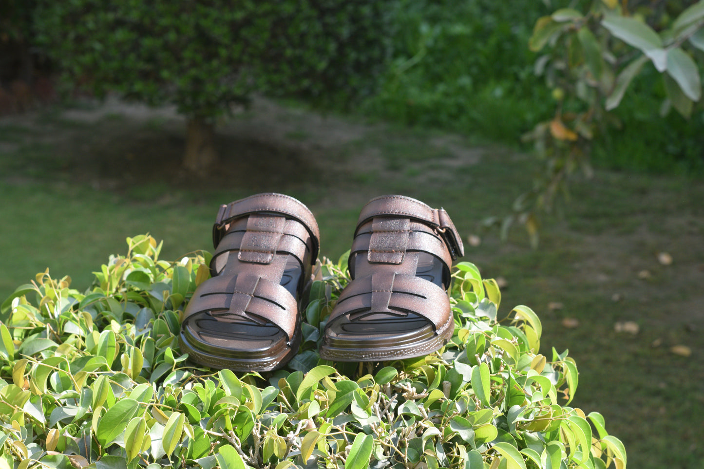 BROWN DHSJS004